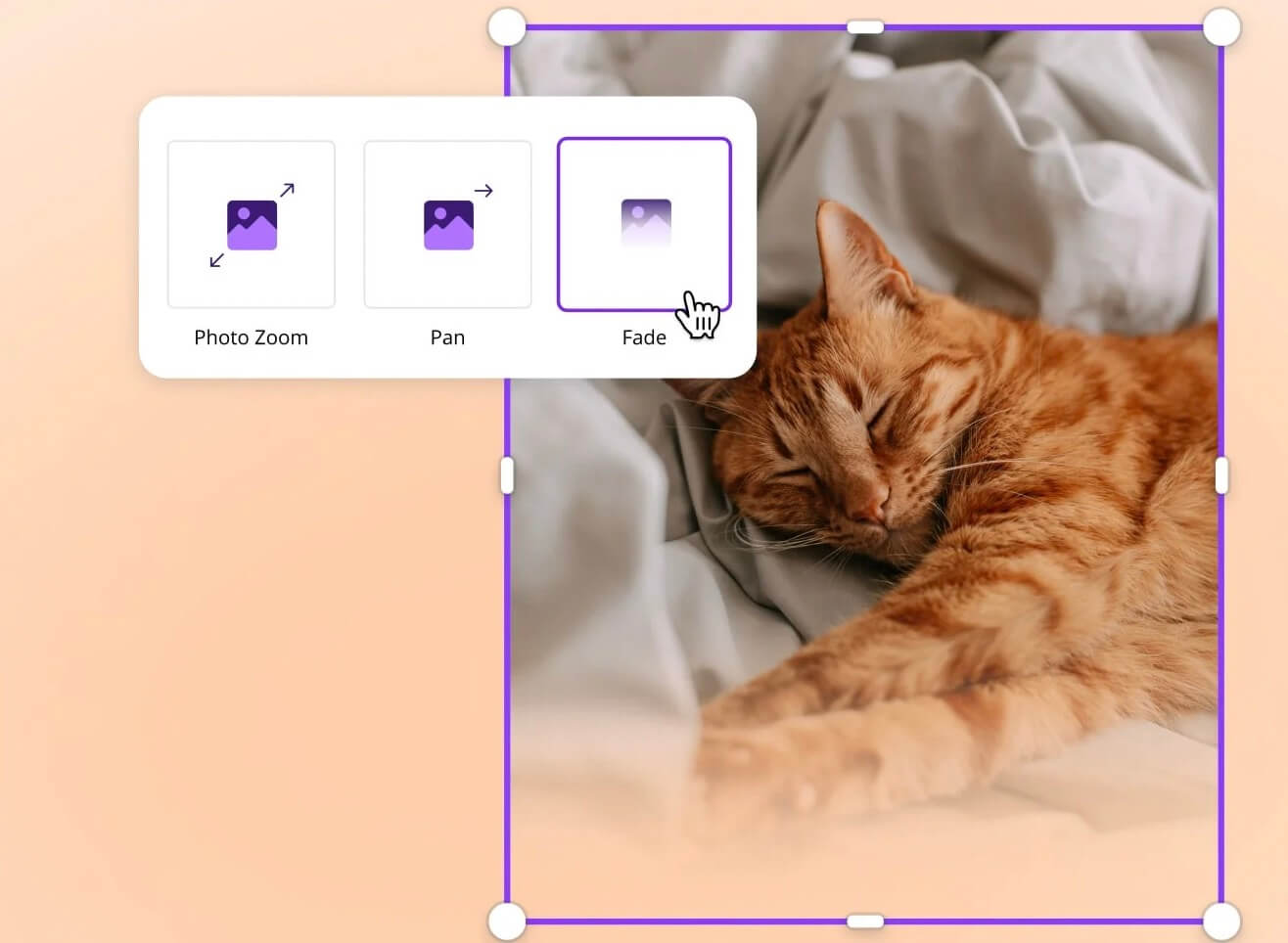 Animate pictures by Canva