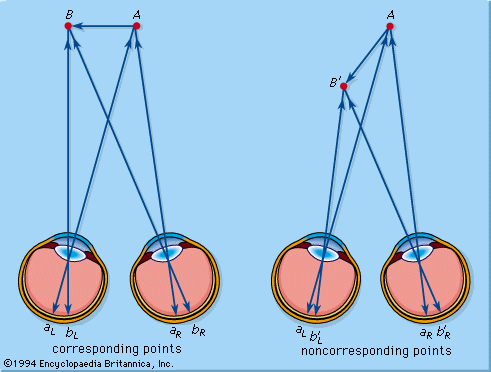 Depth perception - distinction points